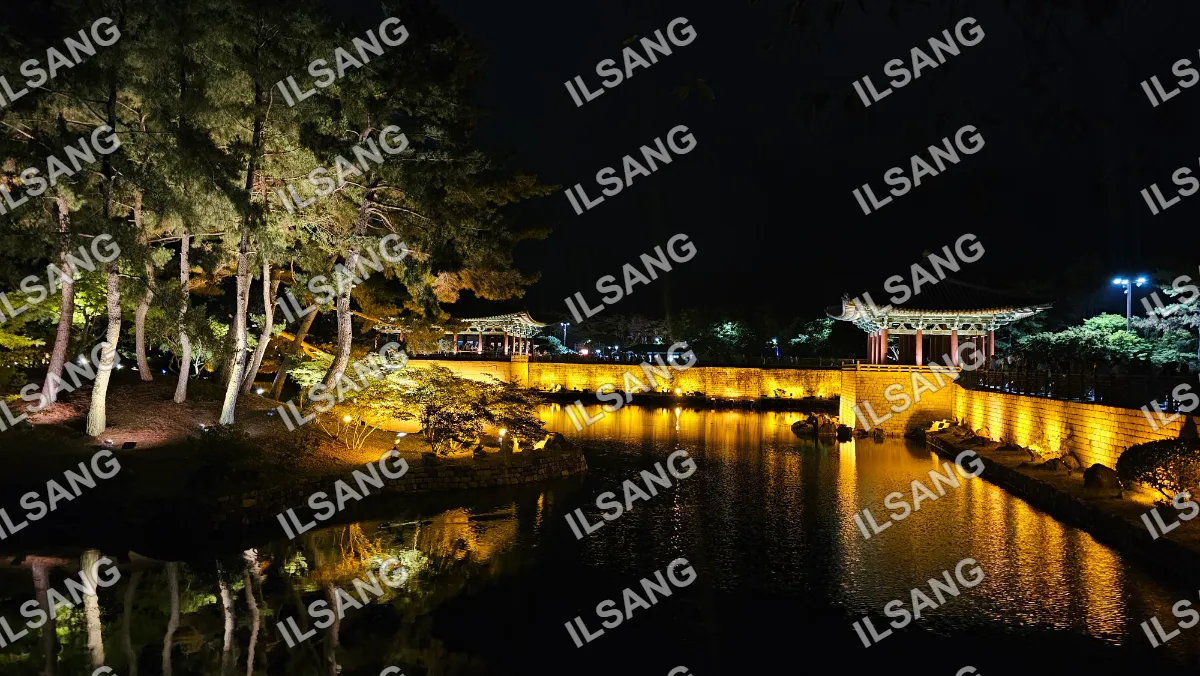 A beautifully lit park at night with a bridge over a lake.