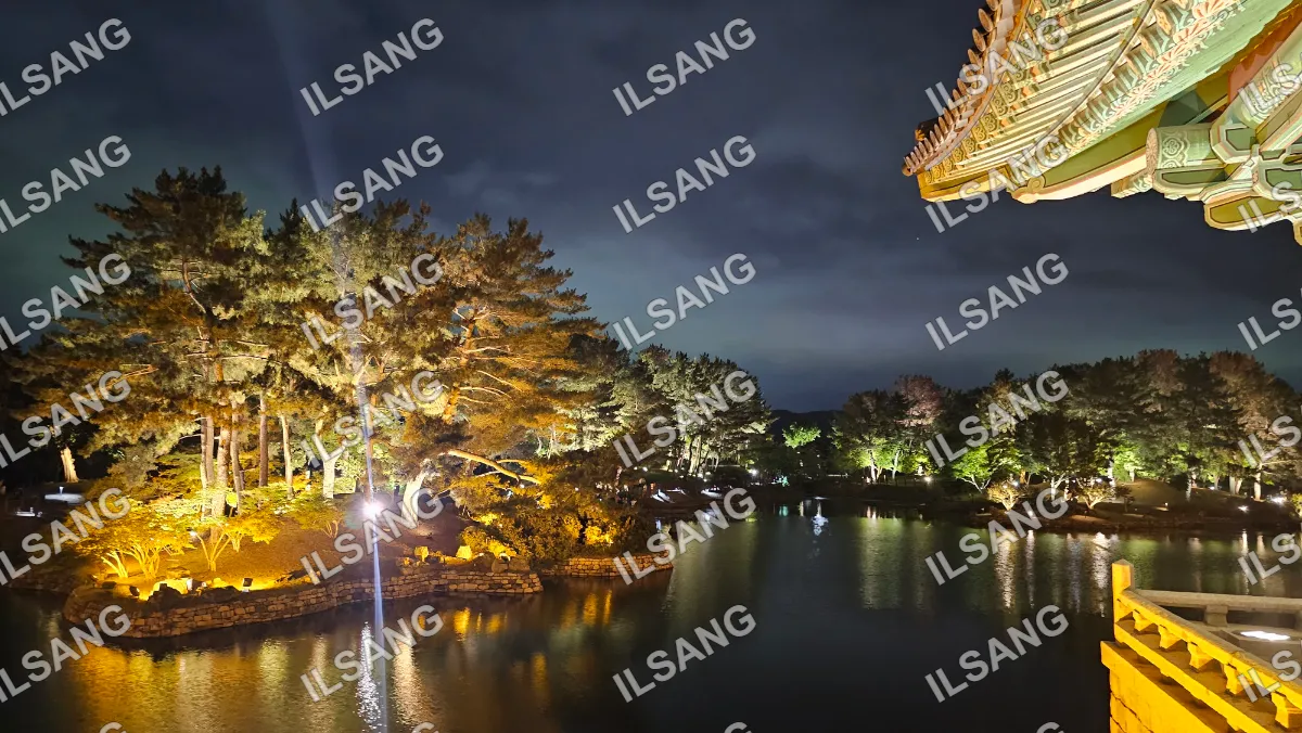 A beautifully lit park at night with a pagoda in the background.