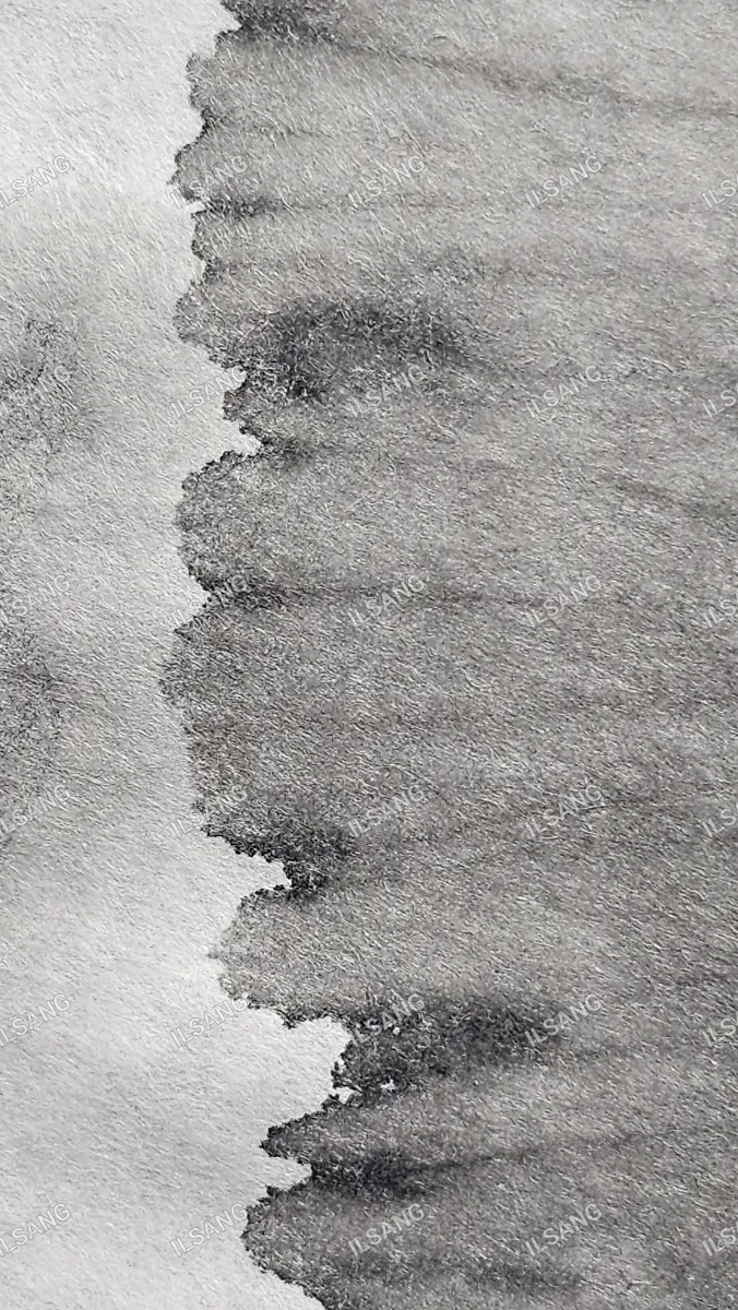 A black and white image of a painting of a cloud.