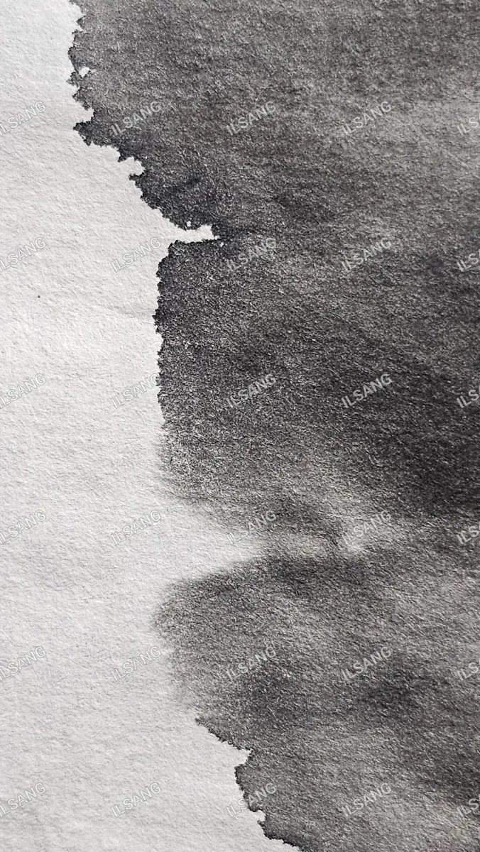 A black and white image of a pen and ink drawing of a person.