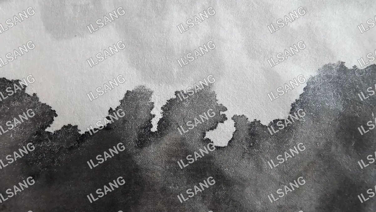 A black and white image of a piece of paper with the word isang on it.
