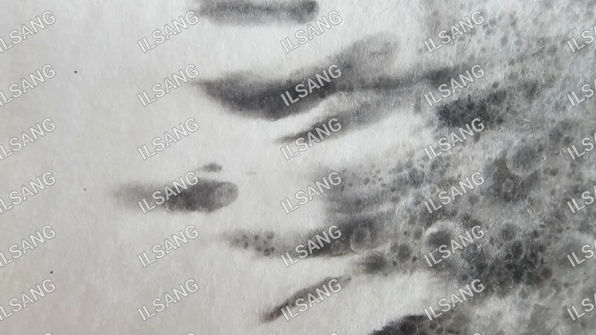 A black and white photo of a fingerprint.