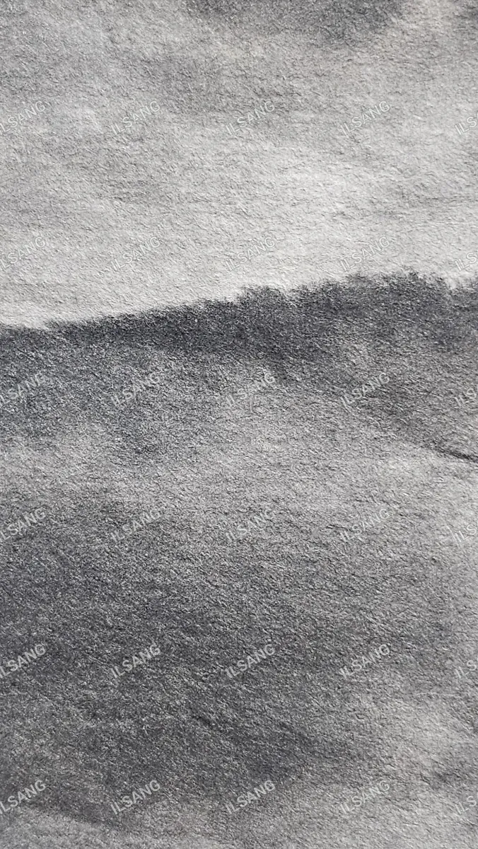 A black and white photo of a hillside.