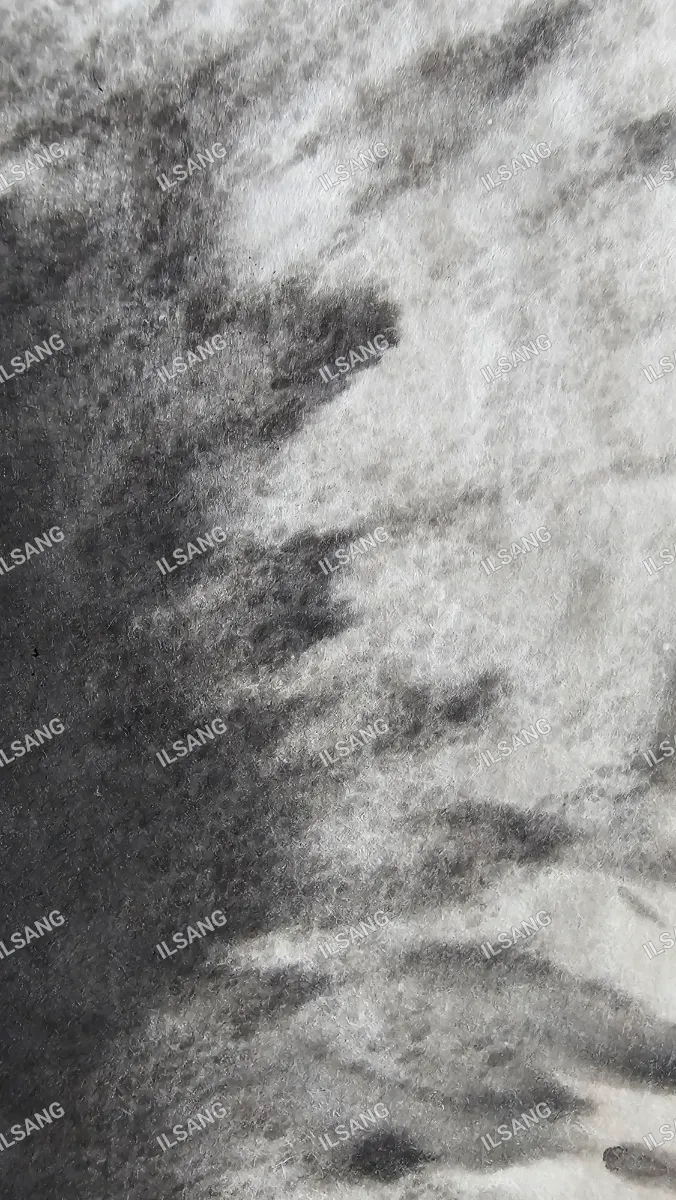 A black and white photo of a piece of cloth.
