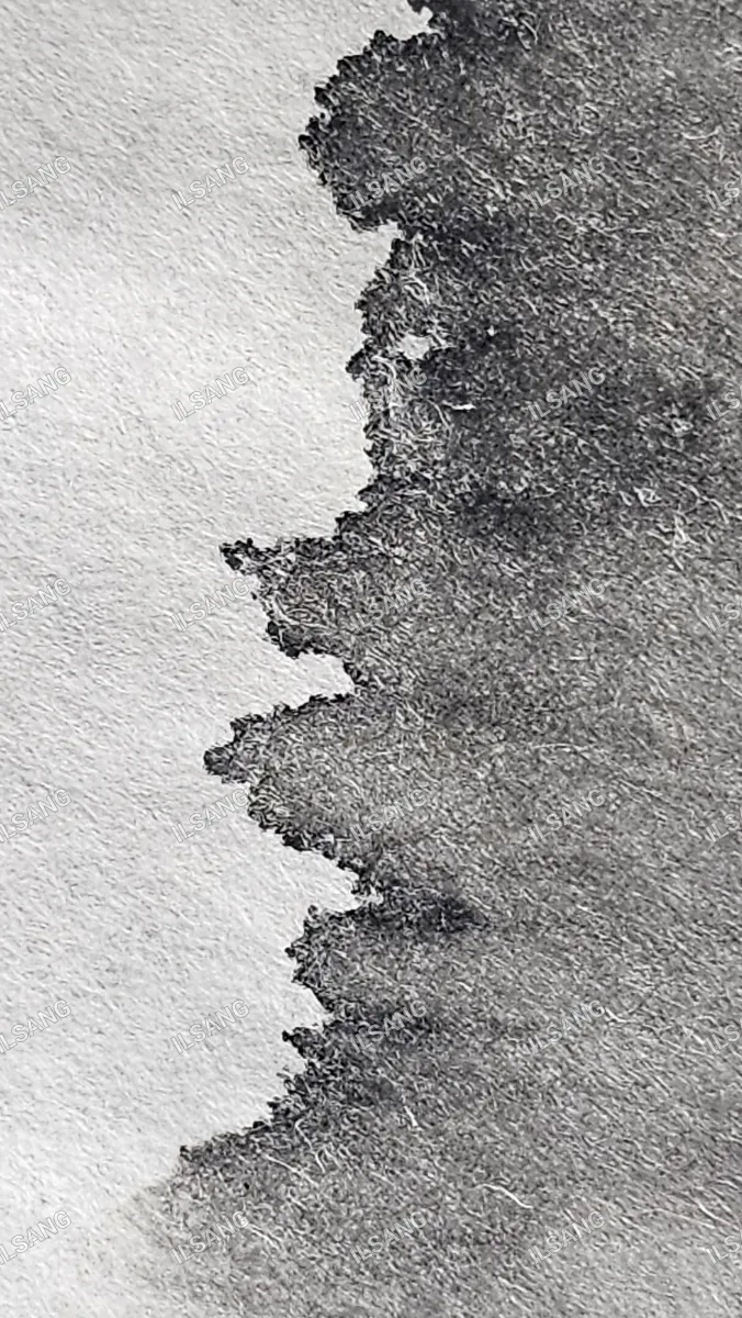 A black and white photo of a piece of paper with a black mark on it.