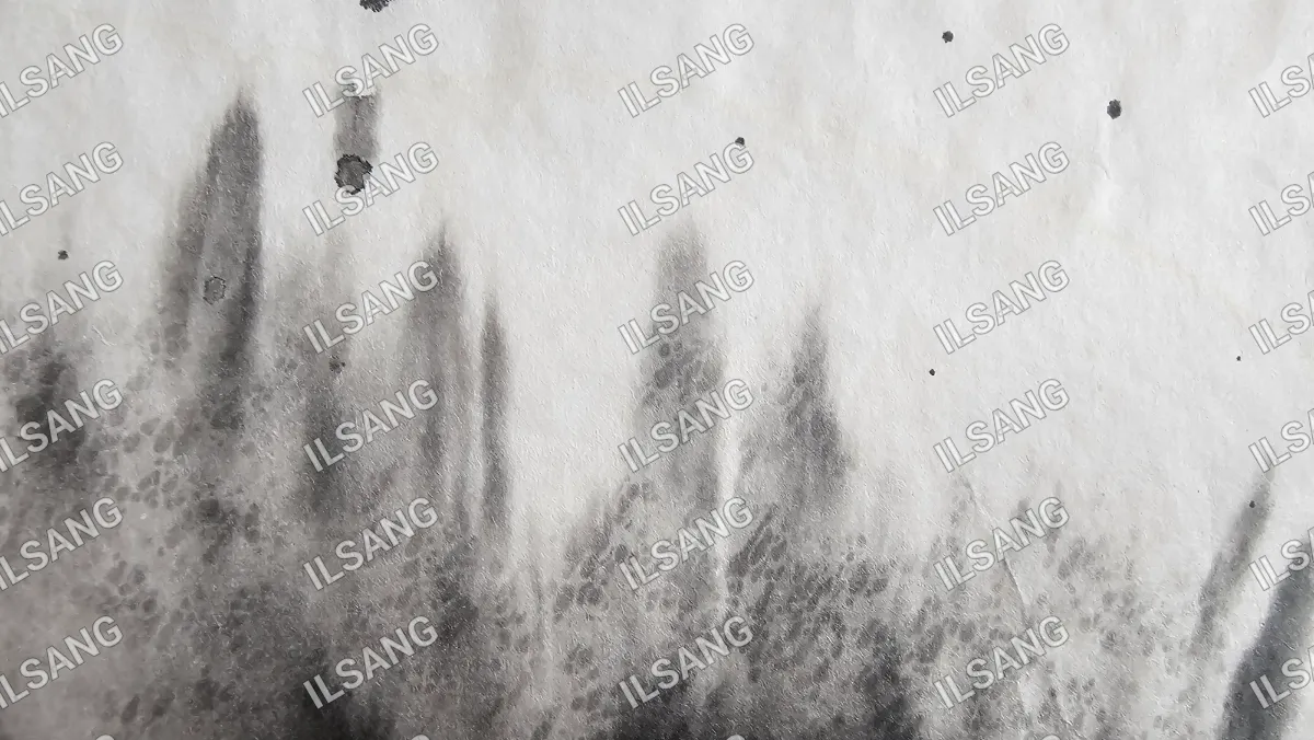A black and white photo of a piece of paper with the word isang on it.