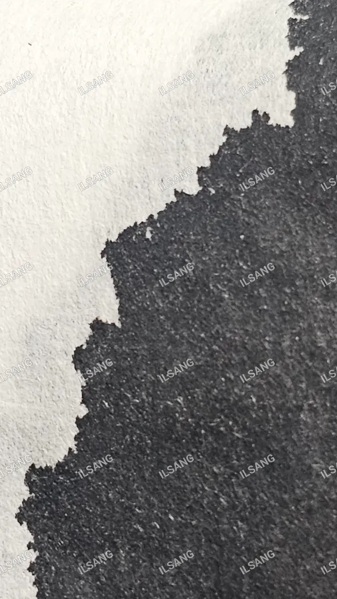 A black and white photo of a piece of paper with the word isang written on it.