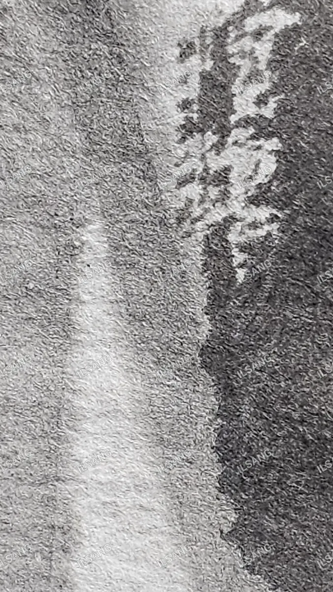 A black and white photo of a tree branch.