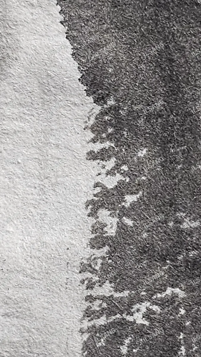 A black and white photo of a tree branch.