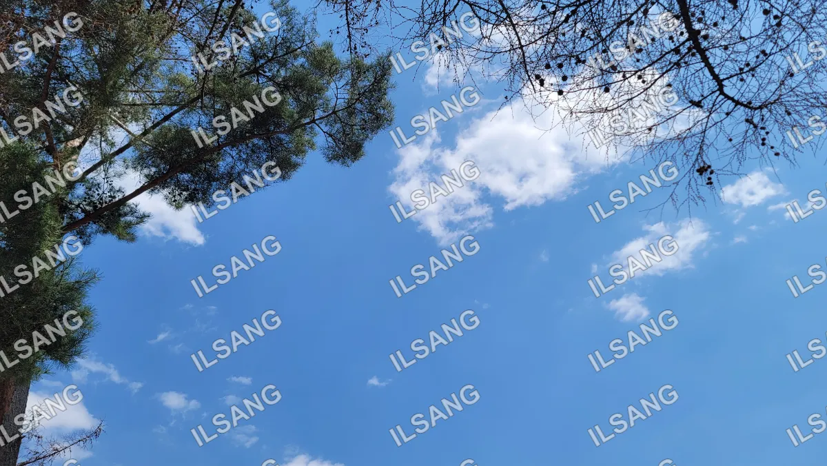 A blue sky with clouds and trees in the background.