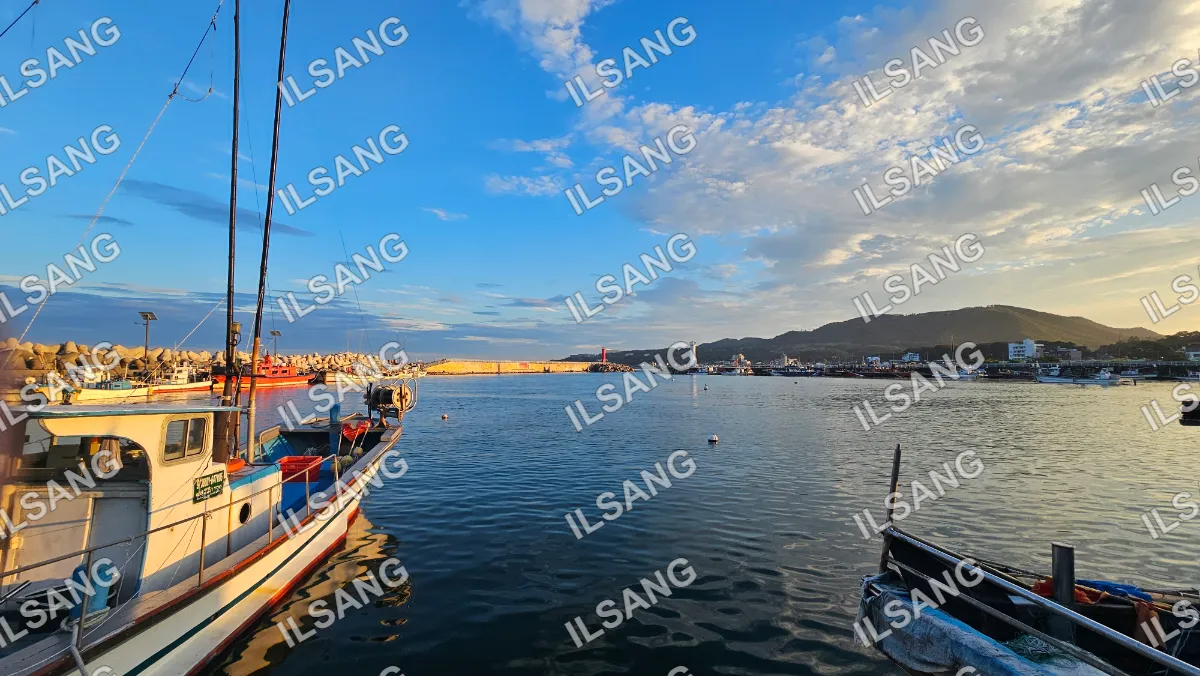 A boat is docked in a harbor with a blue sky above.