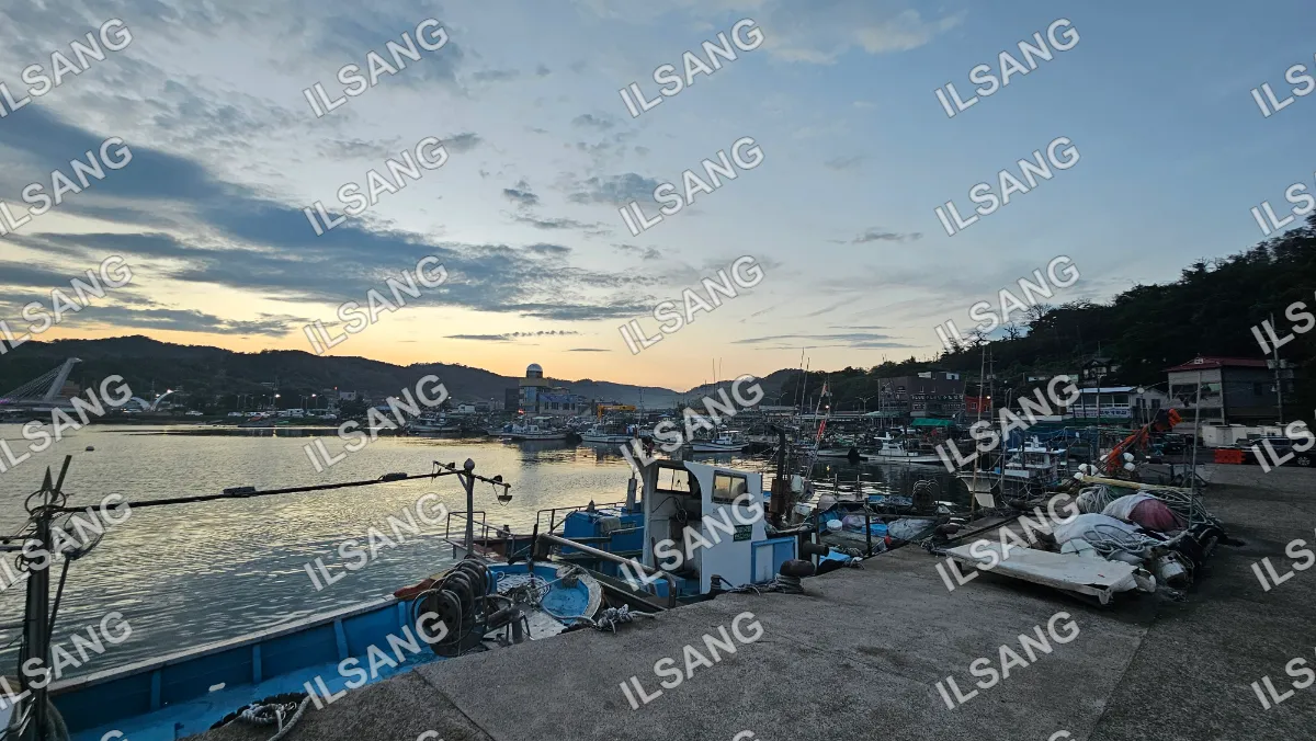A boat is docked in a harbor with other boats.
