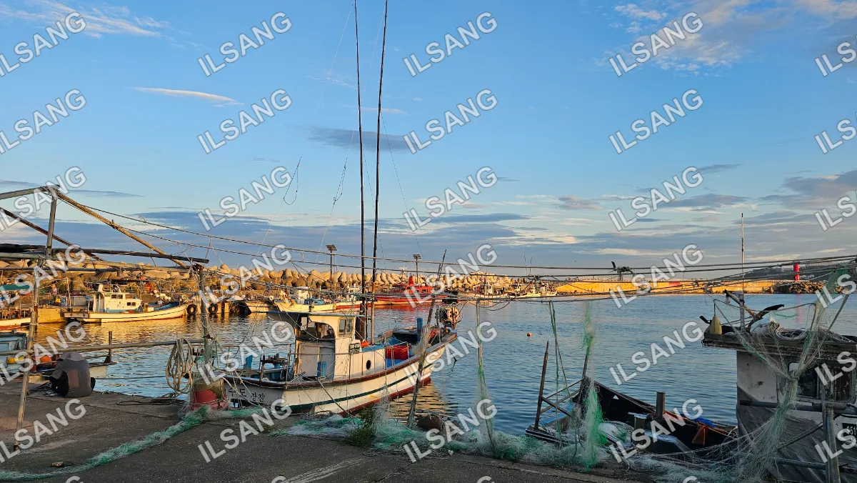 A boat is docked in a harbor with other boats.