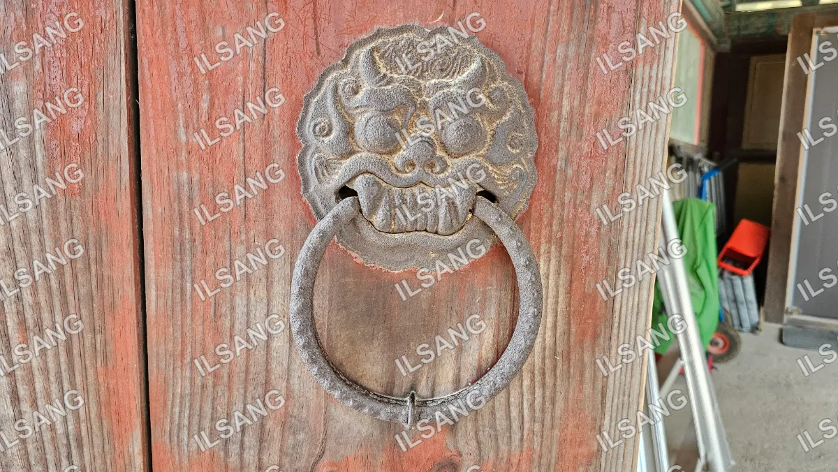 A bronze door knocker with a dragon face on it.