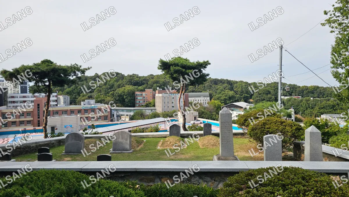 A cemetery with a tree in the middle and headstones around it.