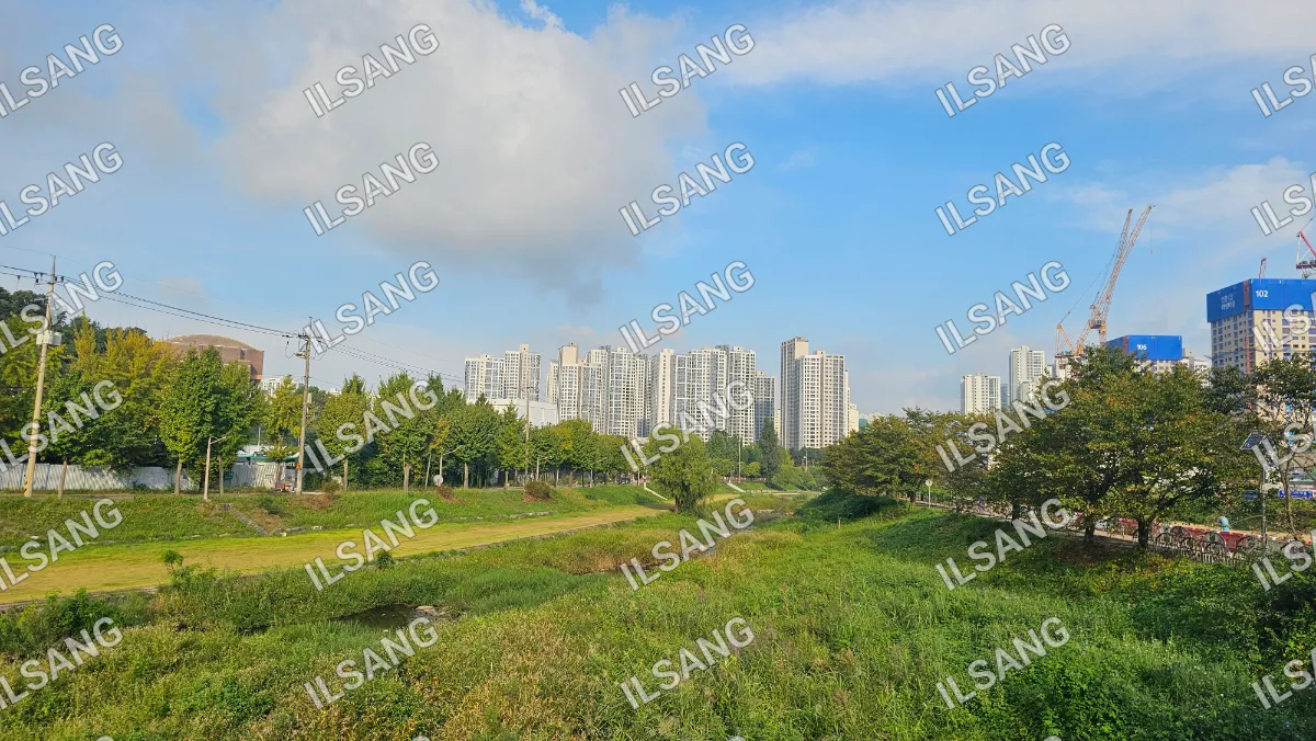A city skyline is visible in the distance.