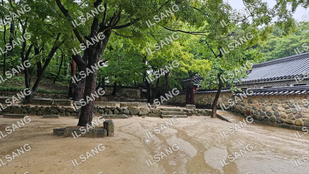 A dirt pathway in a park with a tree and a bench.