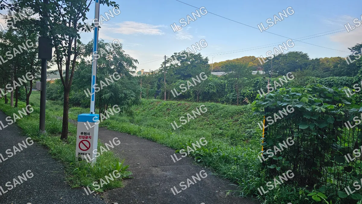 A dirt road with a sign on the side.