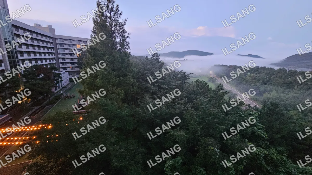 A foggy mountain range with a tree in the foreground.