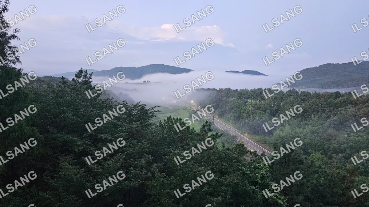 A foggy mountain road with a forest on the side.