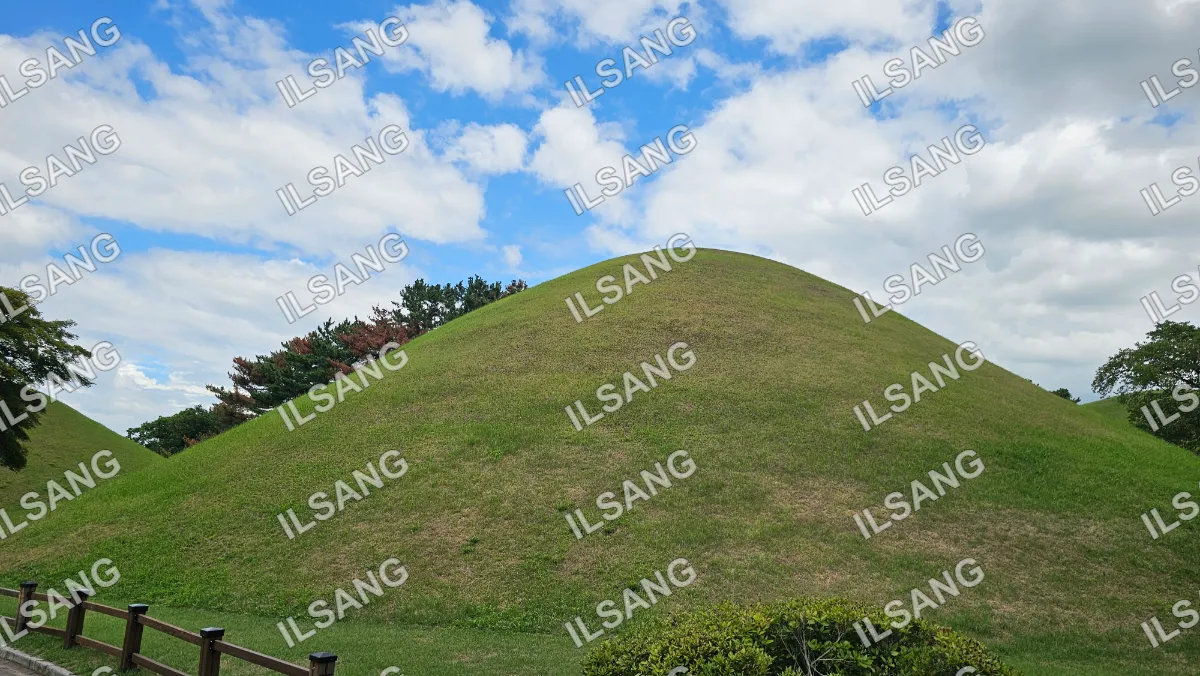 A grassy hill with a tree on top of it.