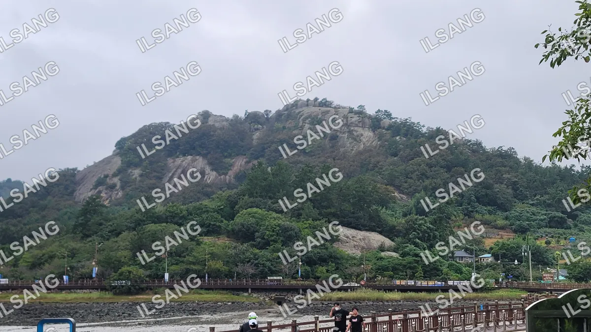 A group of people are standing on a bridge overlooking a body of water.