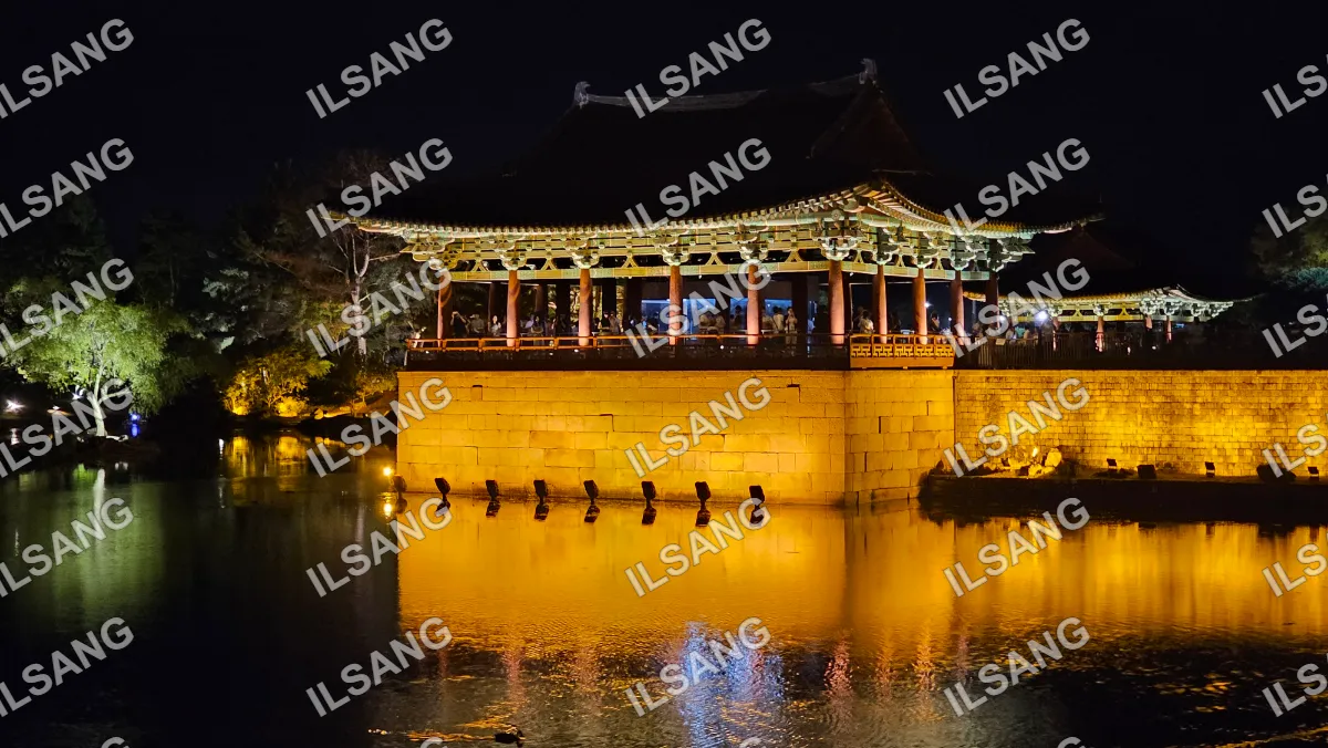 A large building with a pagoda roof and a reflecting pool.