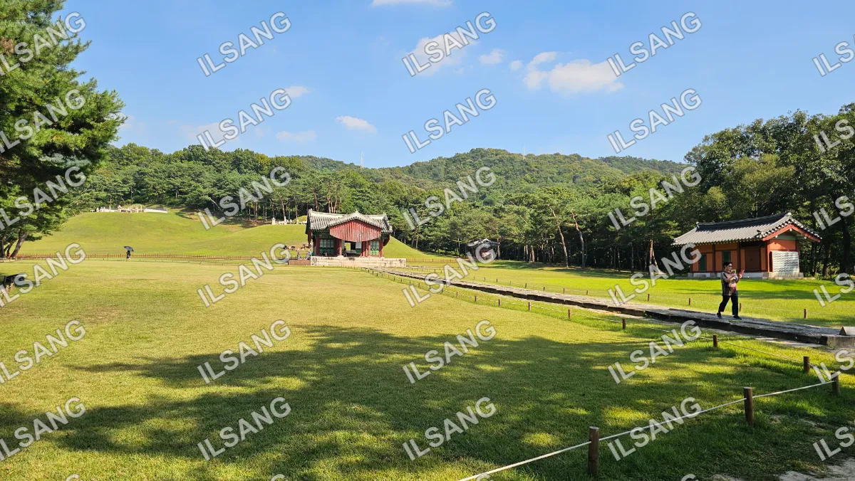 A large grassy field with a small building in the middle.