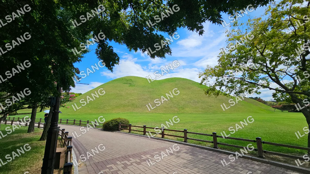 A large hill with a green grassy area and a tree in the foreground.