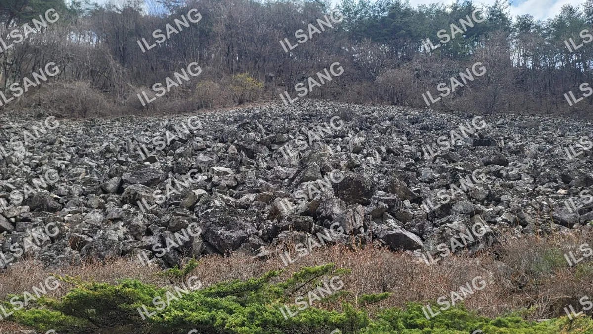 A large pile of rocks on a hillside.