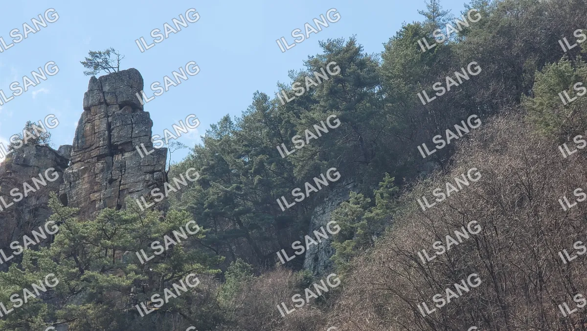 A large rock is on top of a hill with trees in the background.