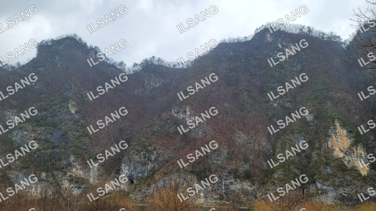 A mountain with trees and a cave.