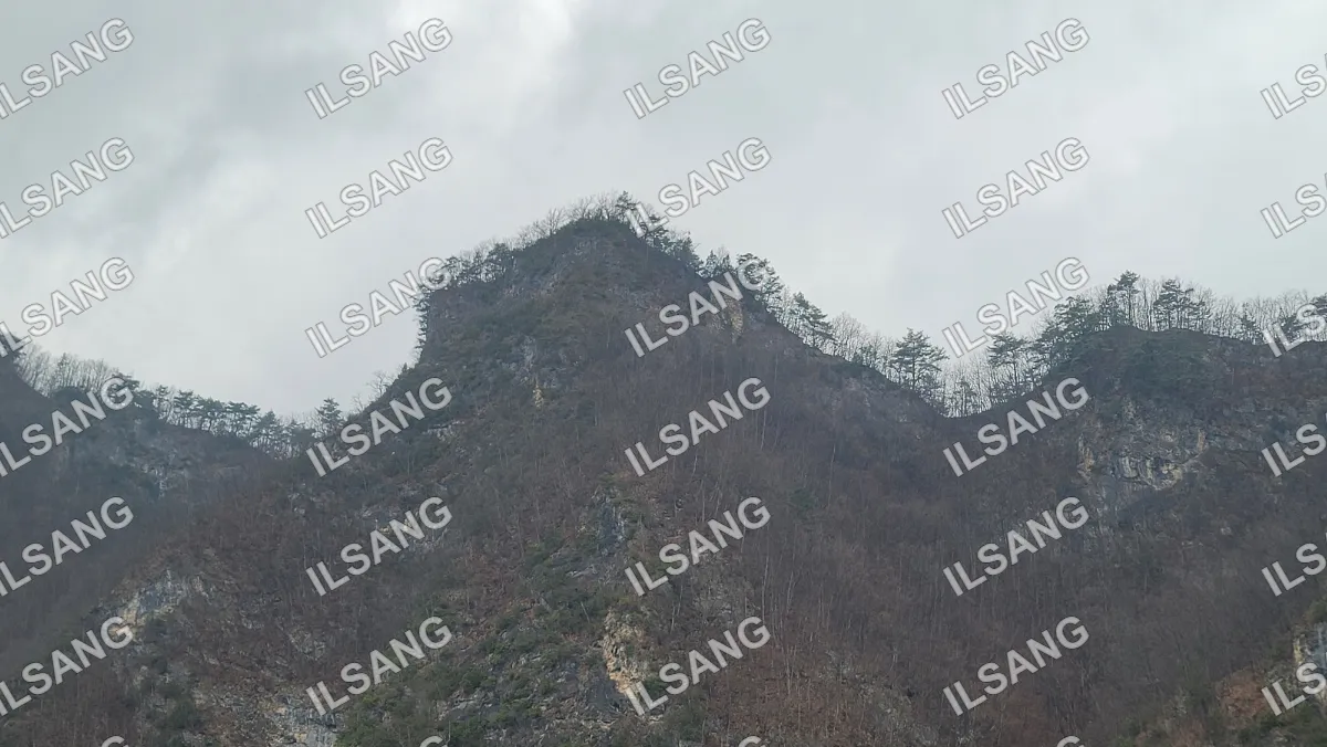 A mountain with trees and a cloudy sky.