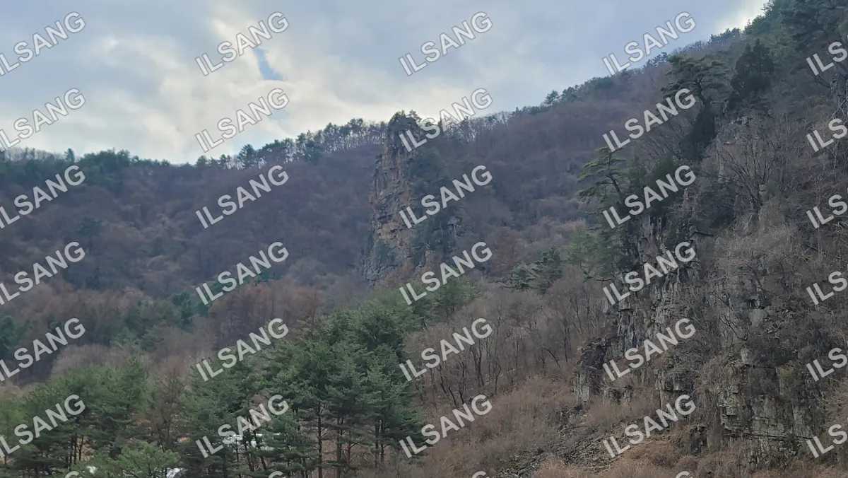 A mountain with trees and a rocky cliff.