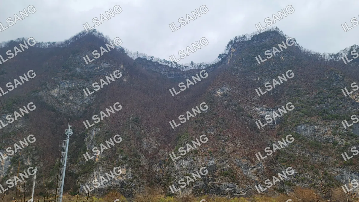 A mountain with trees and a rocky terrain.