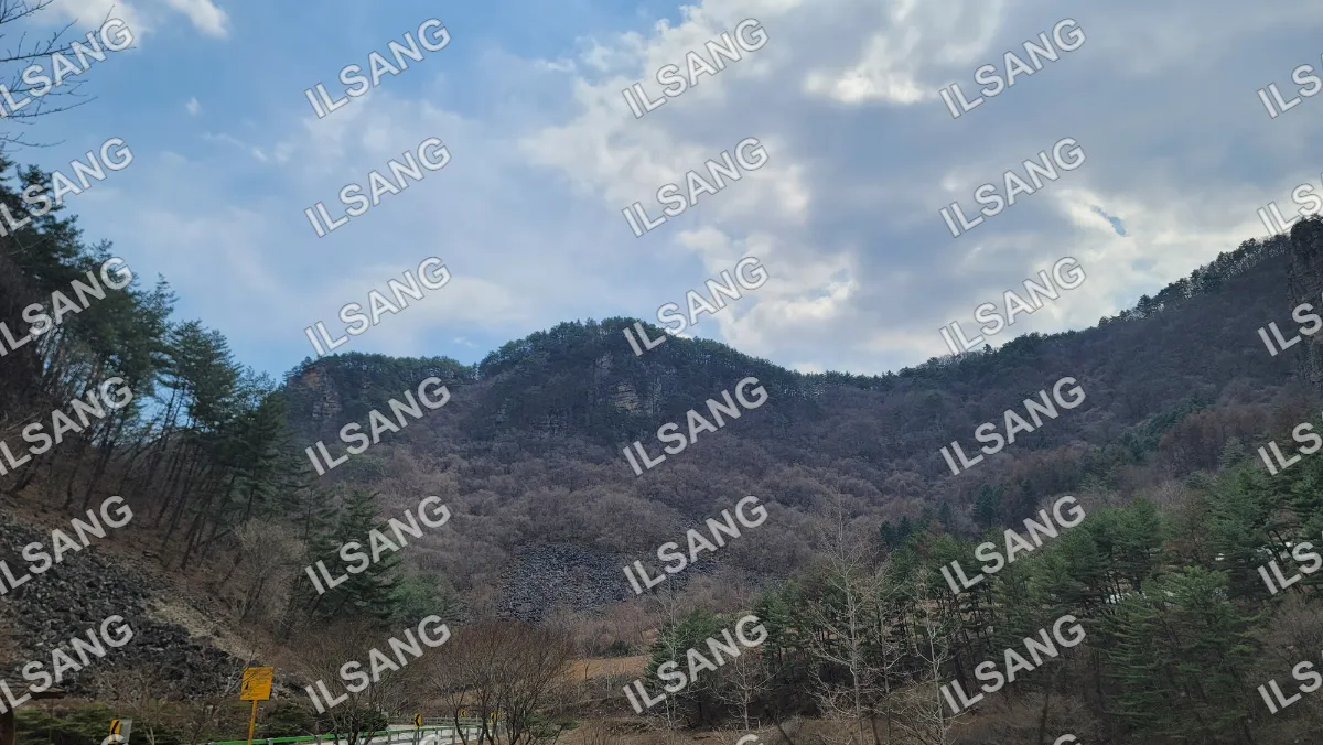 A mountain with trees and a sky background.