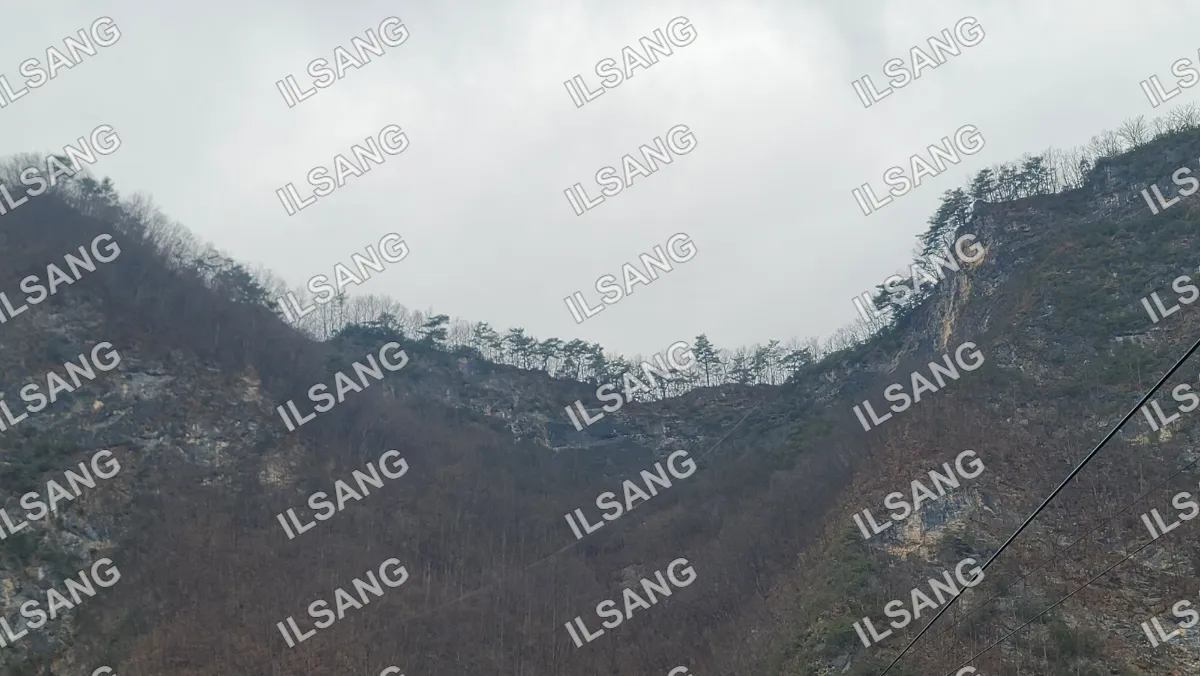 A mountain with trees on it.