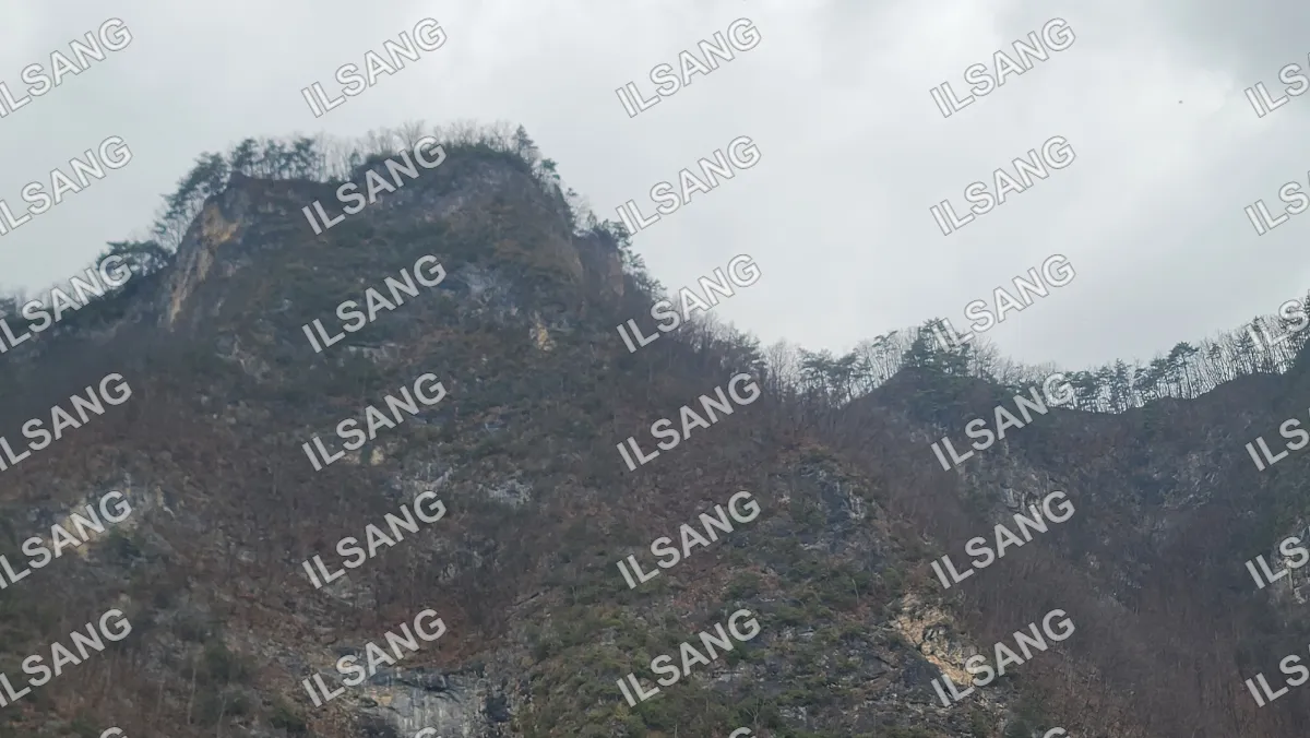 A mountain with trees on it.