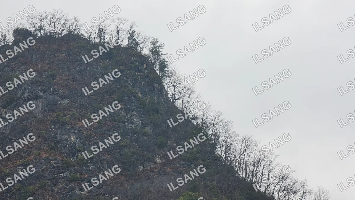 A mountain with trees on it.
