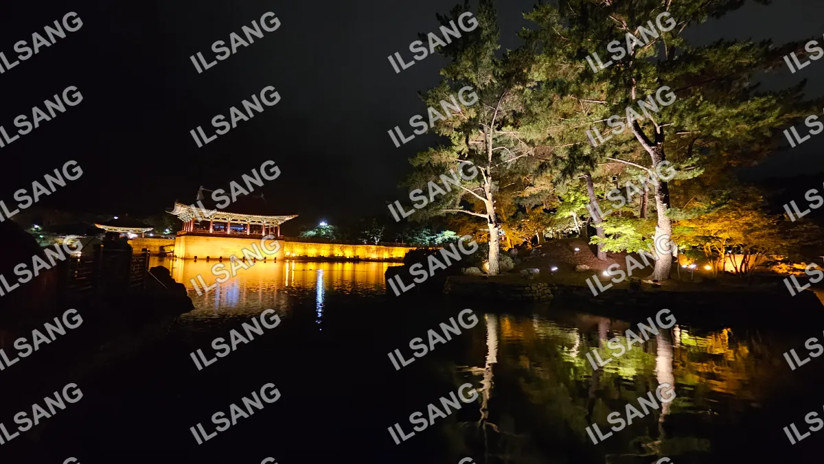 A nighttime scene of a lake with a building and trees in the background.