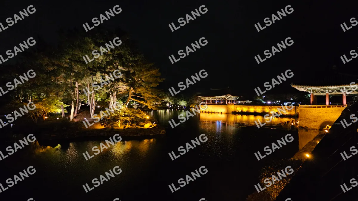 A nighttime scene of a lake with a building in the background.