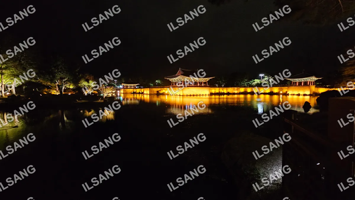 A nighttime view of a palace with a reflecting pool.