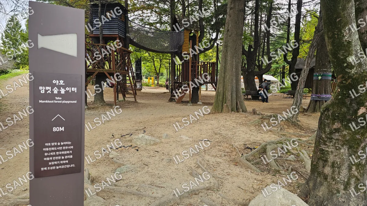 A park with a playground and a tree.