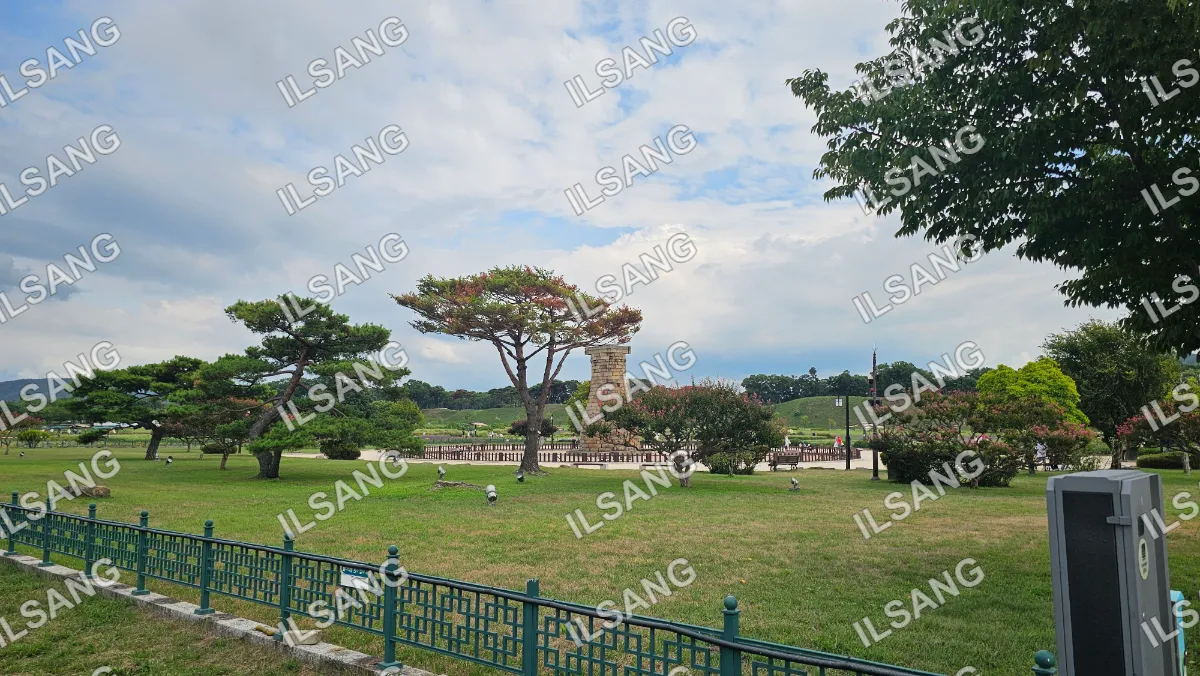 A park with a tree and a bench.
