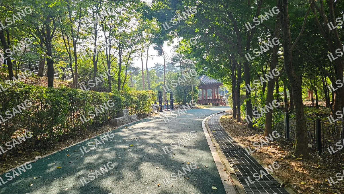 A pathway in a park with trees on both sides.