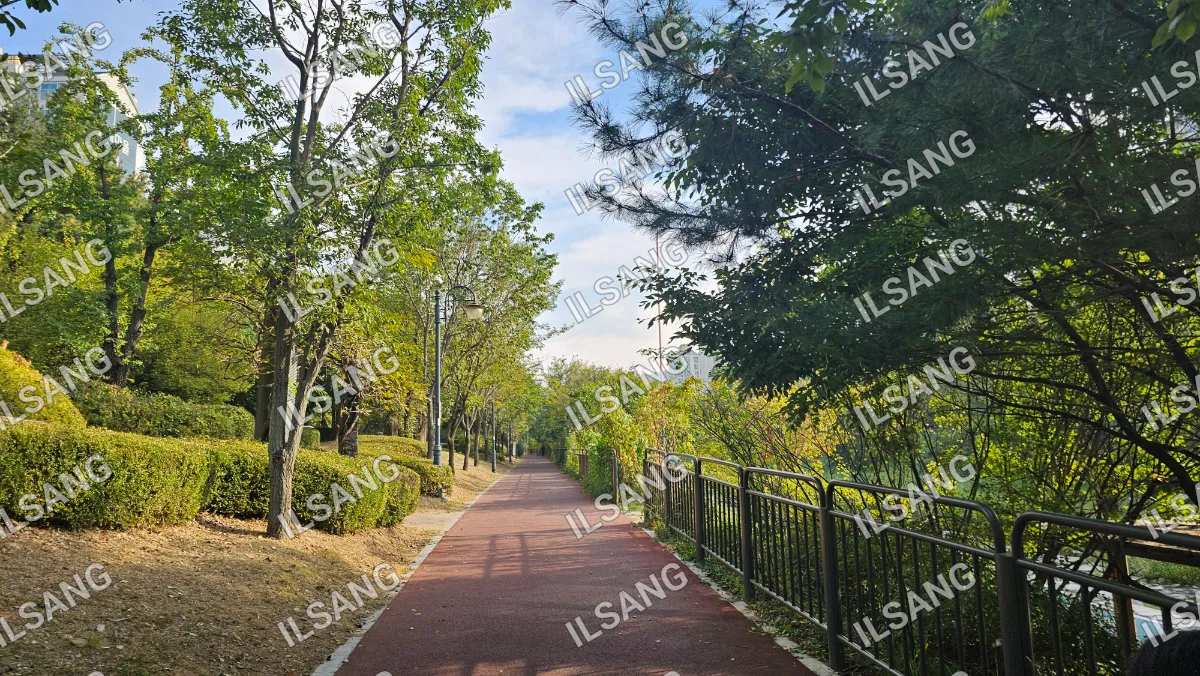 A paved pathway in a park with trees on both sides.