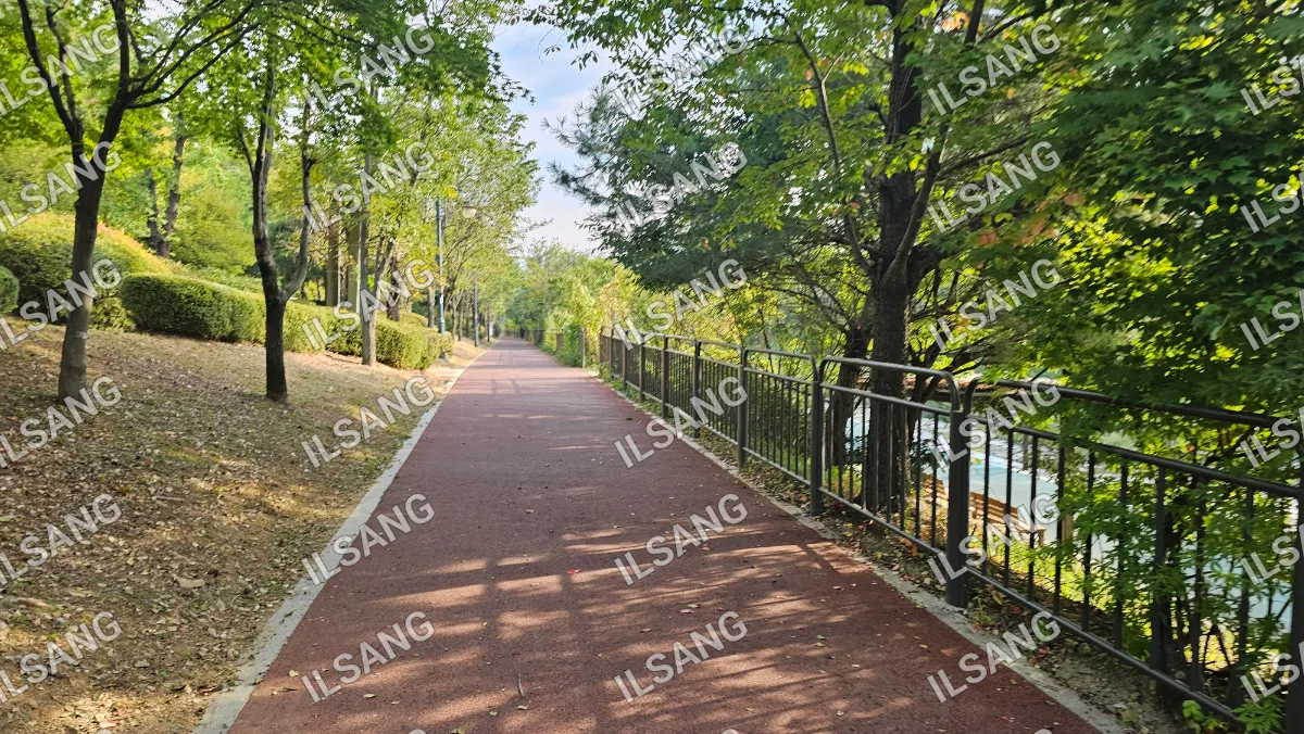 A paved pathway with trees on either side.