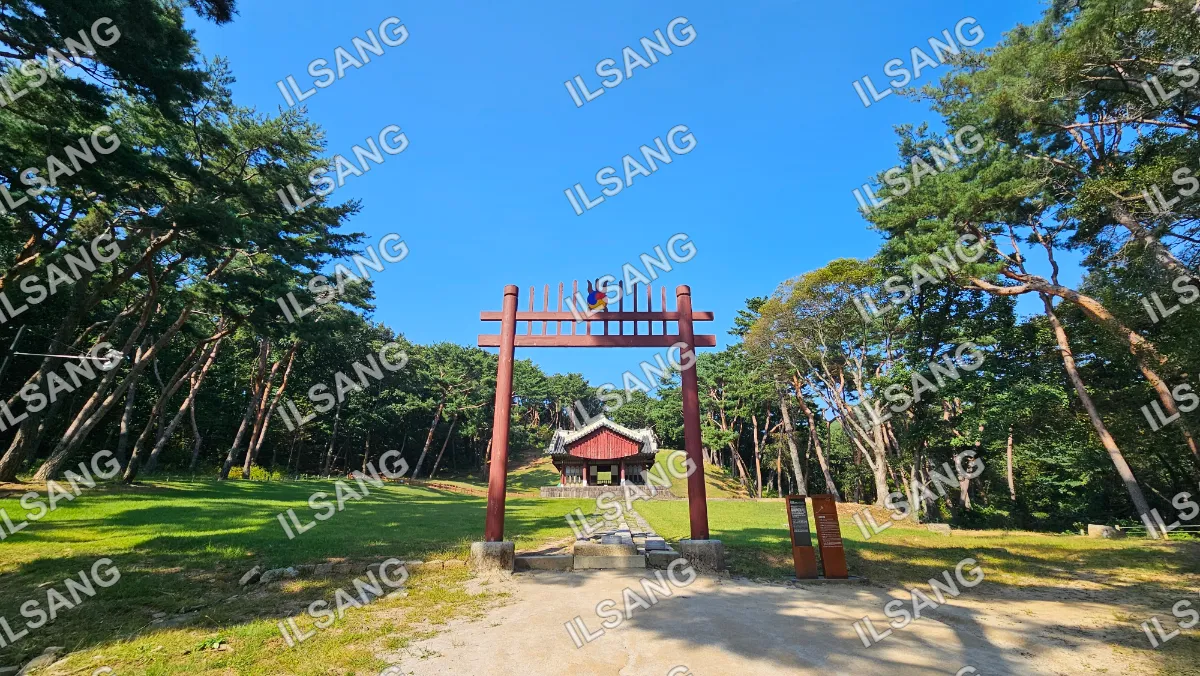 A person is standing on top of a wooden structure in a park.