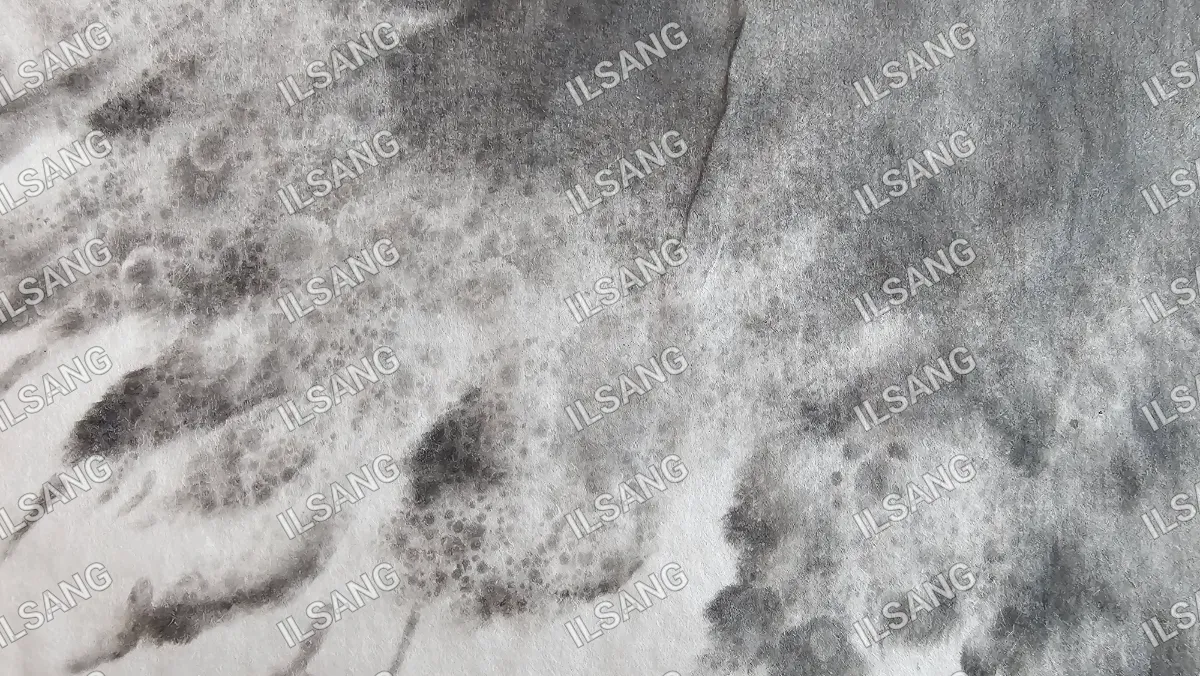 A piece of dirty cloth with the word ILSANG on it.