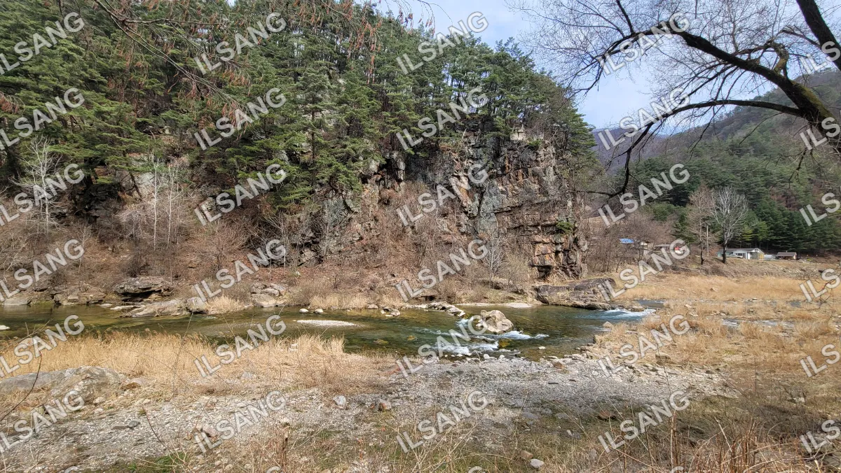 A river flows through a forest with a rocky hillside.